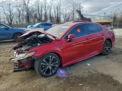 4T1B11HK0KU299708 2019 TOYOTA CAMRY