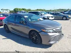 4T1B11HK0KU681172 2019 TOYOTA CAMRY