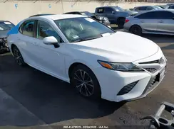 4T1B11HK0KU686081 2019 TOYOTA CAMRY