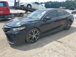 4T1B11HK0KU696559 2019 TOYOTA CAMRY