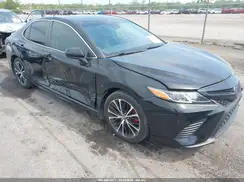 4T1B11HK0KU699462 2019 TOYOTA CAMRY