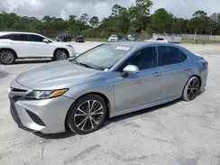 4T1B11HK0KU700559 2019 TOYOTA CAMRY