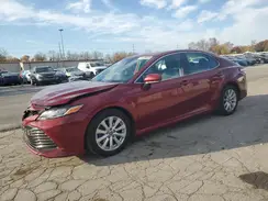 4T1B11HK0KU702442 2019 TOYOTA CAMRY