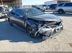 4T1B11HK0KU704532 2019 TOYOTA CAMRY