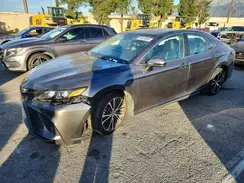 4T1B11HK0KU716566 2019 TOYOTA CAMRY