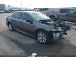 4T1B11HK0KU719113 2019 TOYOTA CAMRY