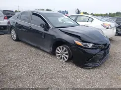 4T1B11HK0KU731164 2019 TOYOTA CAMRY
