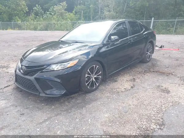4T1B11HK0KU731326 2019 TOYOTA CAMRY - Image 2
