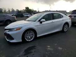 4T1B11HK0KU732203 2019 TOYOTA CAMRY