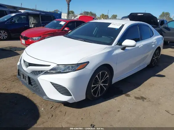 4T1B11HK0KU736378 2019 TOYOTA CAMRY - Image 2