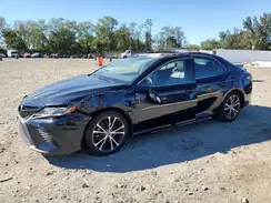 4T1B11HK0KU743007 2019 TOYOTA CAMRY