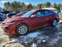 4T1B11HK0KU745422 2019 TOYOTA CAMRY