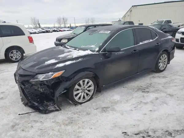 4T1B11HK0KU746795 2019 TOYOTA CAMRY - Image 1