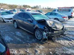 4T1B11HK0KU761295 2019 TOYOTA CAMRY