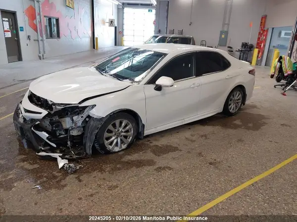 4T1B11HK0KU766416 2019 TOYOTA CAMRY - Image 2