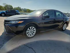 4T1B11HK0KU766447 2019 TOYOTA CAMRY