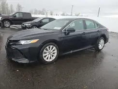 4T1B11HK0KU766979 2019 TOYOTA CAMRY