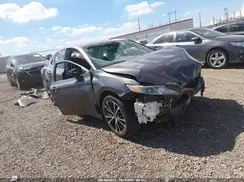4T1B11HK0KU767131 2019 TOYOTA CAMRY