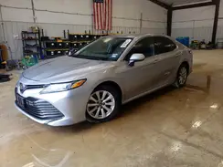 4T1B11HK0KU770594 2019 TOYOTA CAMRY