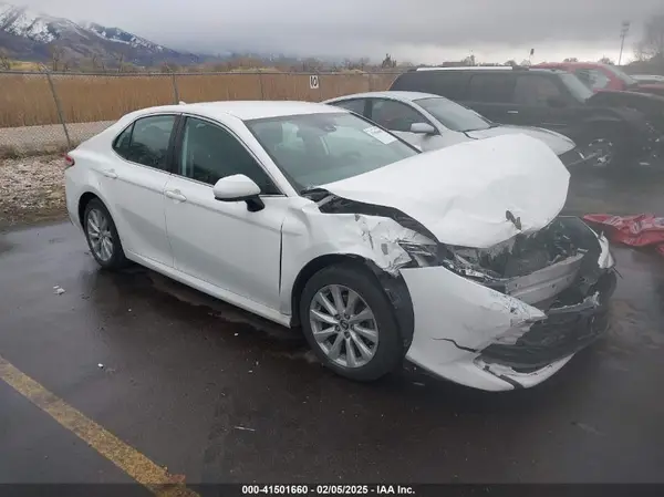 4T1B11HK0KU770658 2019 TOYOTA CAMRY - Image 1