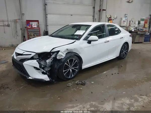 4T1B11HK0KU771034 2019 TOYOTA CAMRY - Image 2
