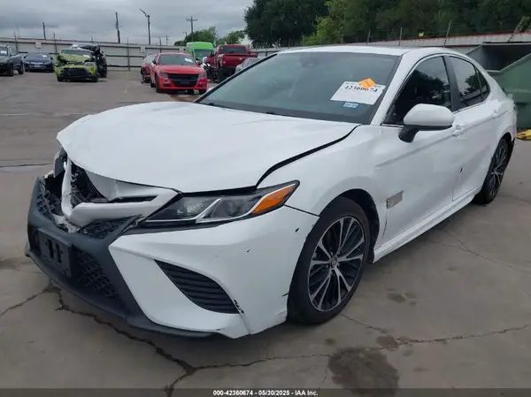 4T1B11HK0KU775035 2019 TOYOTA CAMRY - Image 2