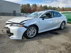 4T1B11HK0KU777240 2019 TOYOTA CAMRY
