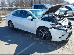 4T1B11HK0KU782860 2019 TOYOTA CAMRY
