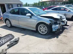 4T1B11HK0KU784253 2019 TOYOTA CAMRY