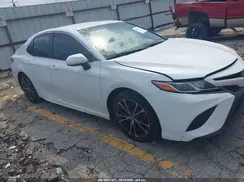 4T1B11HK0KU784527 2019 TOYOTA CAMRY