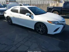 4T1B11HK0KU786391 2019 TOYOTA CAMRY
