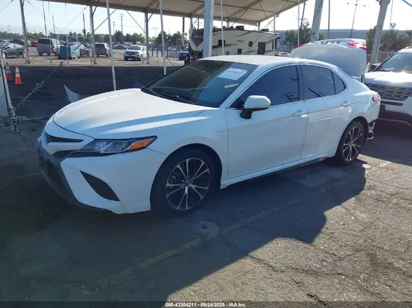 4T1B11HK0KU786391 2019 TOYOTA CAMRY - Image 2