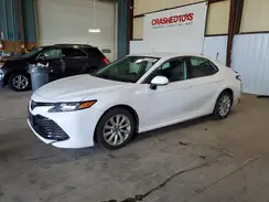 4T1B11HK0KU790862 2019 TOYOTA CAMRY
