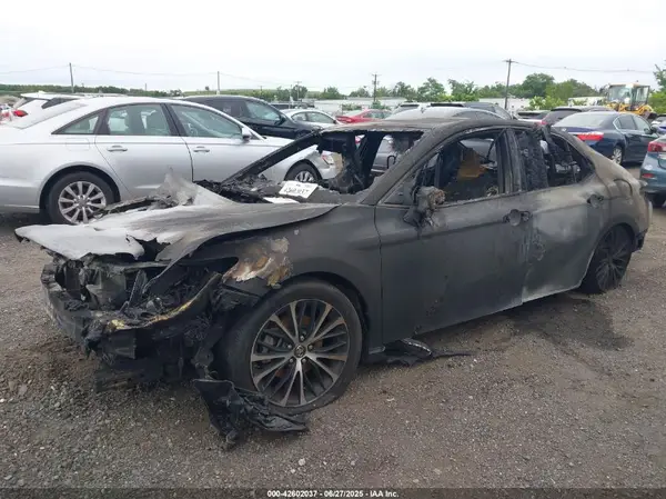 4T1B11HK0KU795043 2019 TOYOTA CAMRY - Image 2