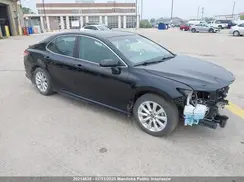 4T1B11HK0KU800466 2019 TOYOTA CAMRY