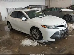 4T1B11HK0KU810186 2019 TOYOTA CAMRY