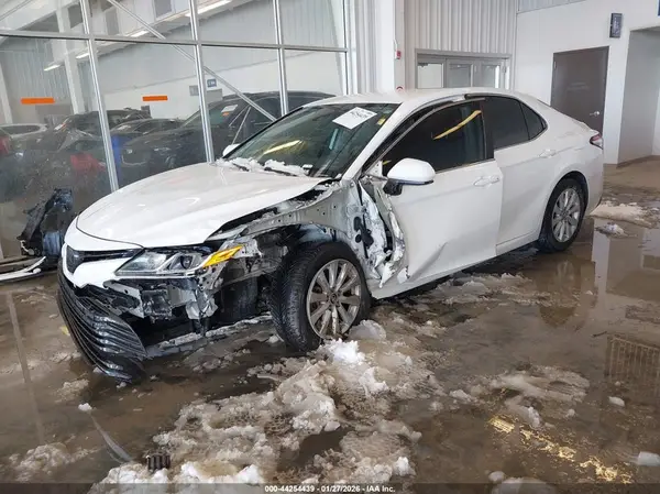 4T1B11HK0KU810186 2019 TOYOTA CAMRY - Image 2
