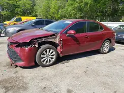4T1B11HK0KU810494 2019 TOYOTA CAMRY