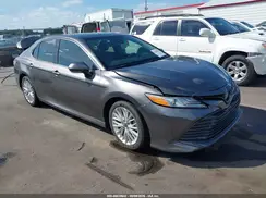 4T1B11HK0KU812777 2019 TOYOTA CAMRY