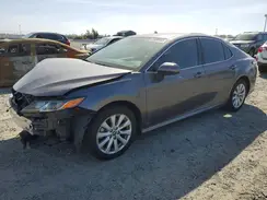 4T1B11HK0KU813184 2019 TOYOTA CAMRY