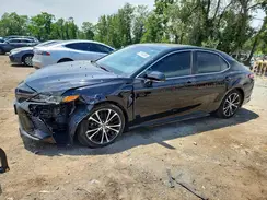 4T1B11HK0KU815520 2019 TOYOTA CAMRY