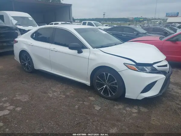 4T1B11HK0KU825979 2019 TOYOTA CAMRY - Image 1