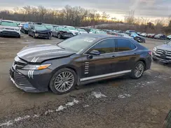 4T1B11HK0KU830177 2019 TOYOTA CAMRY