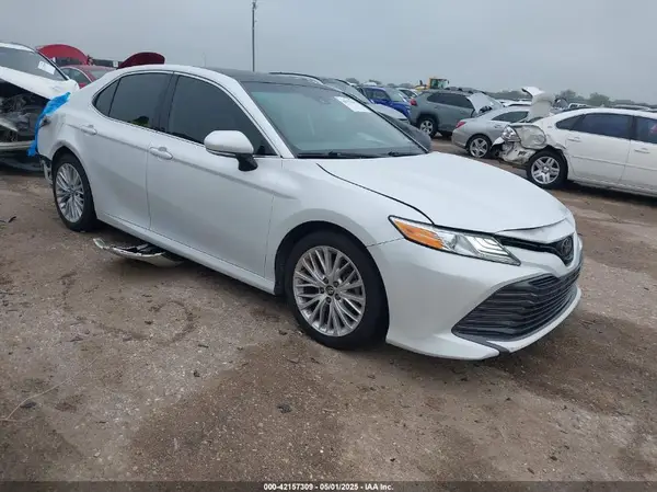 4T1B11HK0KU841129 2019 TOYOTA CAMRY - Image 1