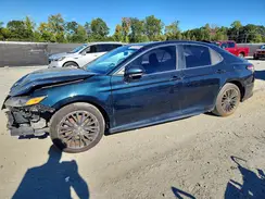 4T1B11HK0KU853748 2019 TOYOTA CAMRY