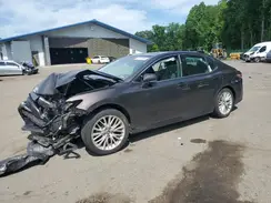 4T1B11HK1KU161675 2019 TOYOTA CAMRY
