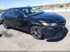 4T1B11HK1KU169517 2019 TOYOTA CAMRY