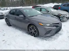 4T1B11HK1KU170733 2019 TOYOTA CAMRY