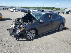 4T1B11HK1KU180176 2019 TOYOTA CAMRY