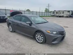4T1B11HK1KU216366 2019 TOYOTA CAMRY